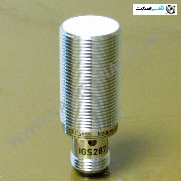 IGS287